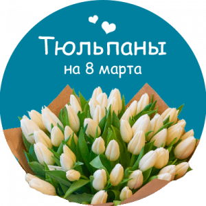 Купить тюльпаны в Щёлково